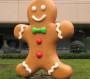 blog:2011-09-04:gingerbread.jpg